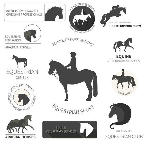 مجموعه ای از برچسب های اسب با کیفیت عالی برای فعالیت های مختلف سوارکاری