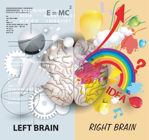 عملکردهای چپ و راست مغز