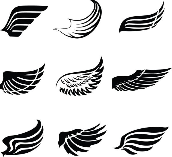 نمادهای انتزاعی پر فرشته یا بال پرنده مجموعه ایزوله وکتور