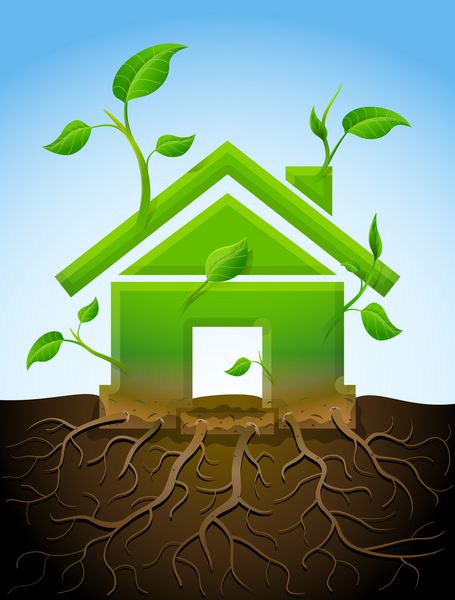 نماد خانه در حال رشد مانند گیاه با برگ و ریشه گیاه به شکل علامت خانه در زمین وکتور در مورد معماری ساختمان سبز املاک ساخت و ساز توسعه پایداری