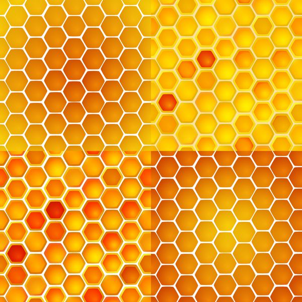 الگوهای وکتور بدون درز سلول‌های عسل شانه‌های روی سفید مجموعه 4 تایی
