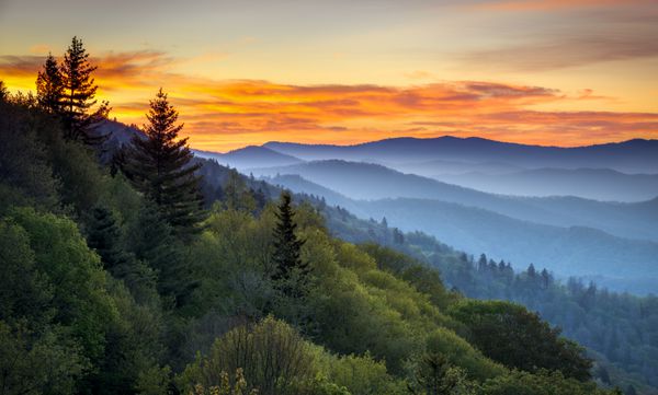 منظره منظره طلوع آفتاب در پارک ملی کوه‌های دودی بزرگ در Oconaluftee Oconaluftee بین Cherokee NC و Gatlinburg TN