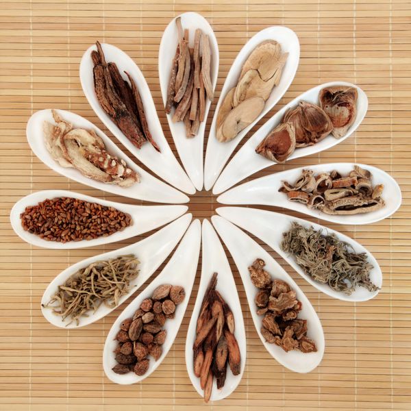 انتخاب داروهای گیاهی چینی در ظروف چینی سفید روی پس زمینه بامبو