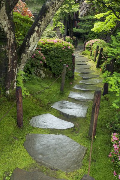 مسیر سنگی مرطوب در باغ ذن ژاپن تا تابستان