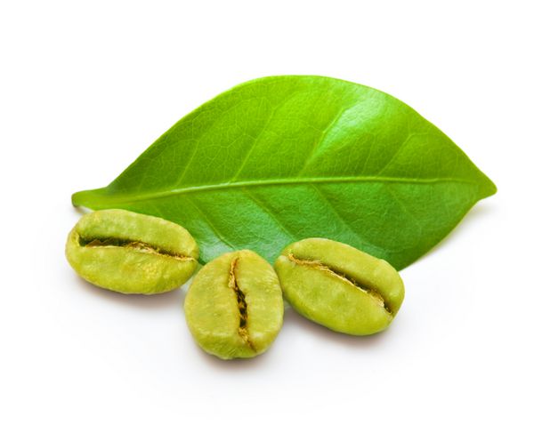 دانه های قهوه سبز با برگ در پس زمینه سفید