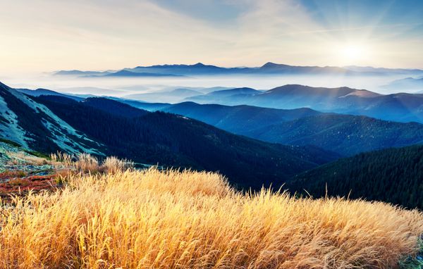 یک روز آفتابی فوق العاده در چشم انداز کوهستانی است کارپات اوکراین اروپا دنیای زیبایی