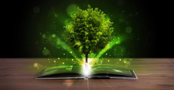 کتاب باز با درخت سبز جادویی و پرتوهای نور روی عرشه چوبی