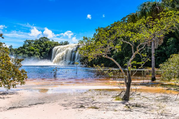 طبیعت پارک ملی کانایما ونزوئلا آمریکای جنوبی
