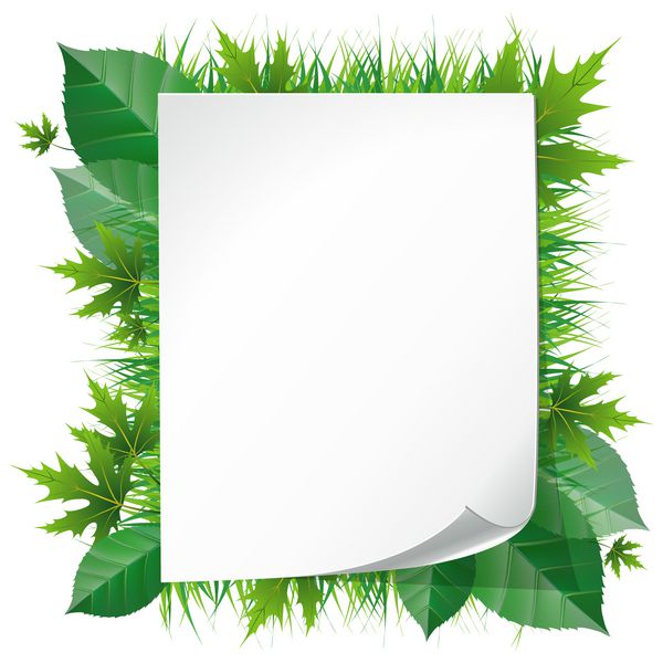 مفهوم اکولوژی ورق کاغذ خالی برای متن در پس زمینه طبیعت با گیاهان و گل های سبز