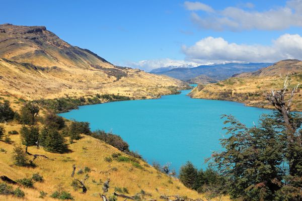 تابستان سرد در شیلی پارک ملی تورس دل پین - آب های زمردی باشکوهی که ریو سرانو را می ریزند