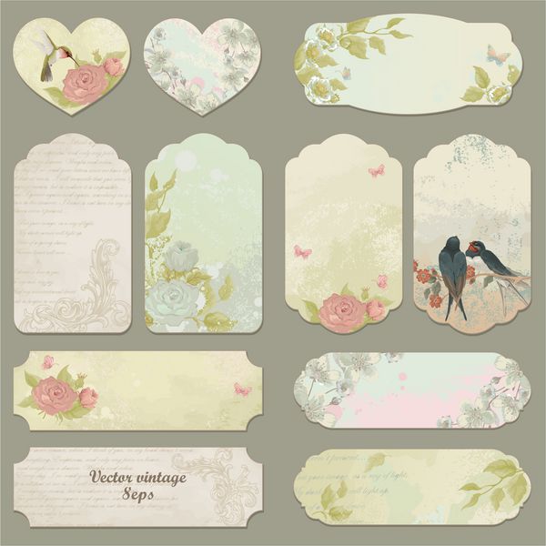 مجموعه ای از وکتور کارت های قدیمی با پرندگان پروانه ها و گل ها