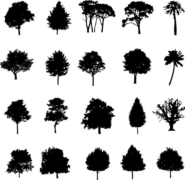 مجموعه ای از بیست درخت سیلوئت وکتور سیاه