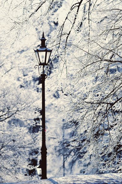 تیر چراغ در پارک زمستانی پوشیده از برف سفید