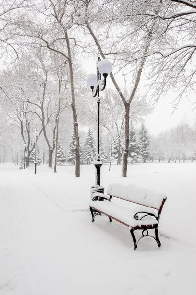 نیمکت هایی در پارک شهری زمستانی که پر از برف شده است