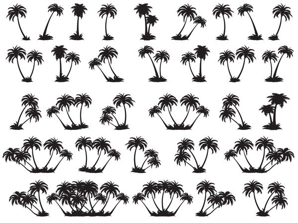 تصاویر وکتور شبح درختان نخل مجموعه ای از درختان سیاه در زمینه سفید