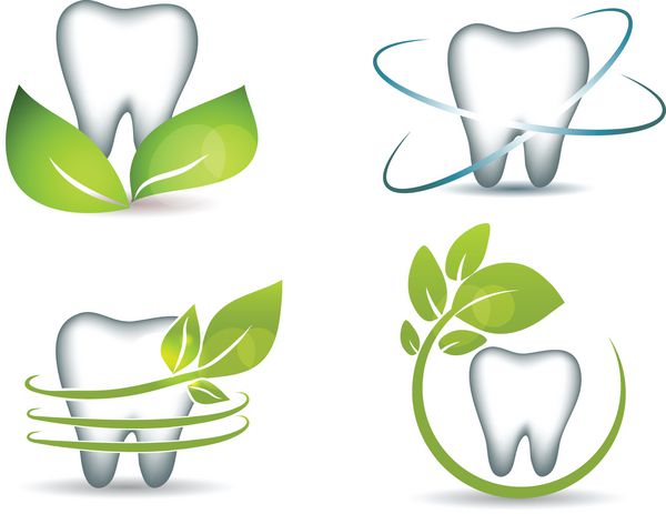 دندان های سالم با برگ های سبز طرح های تمیز و روشن