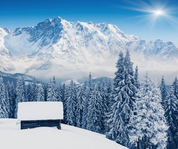 منظره زمستانی فوق العاده و آسمان آبی کولاژ خلاقانه دنیای زیبایی