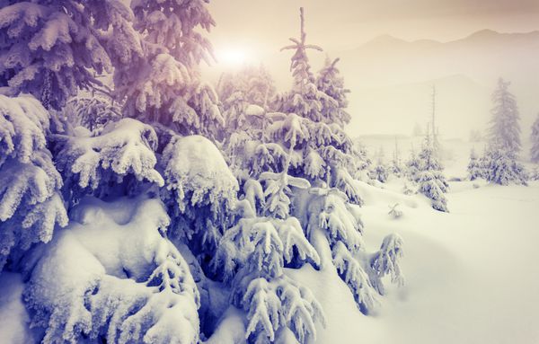 منظره زمستانی فوق العاده عصرگاهی آسمان ابری دراماتیک کولاژ خلاقانه دنیای زیبایی