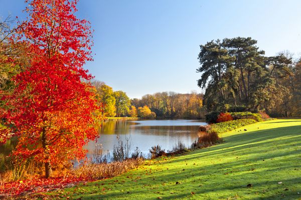 چشم انداز پاییزی پارک در پاییز رنگ های روشن پاییز در پارک کنار دریاچه