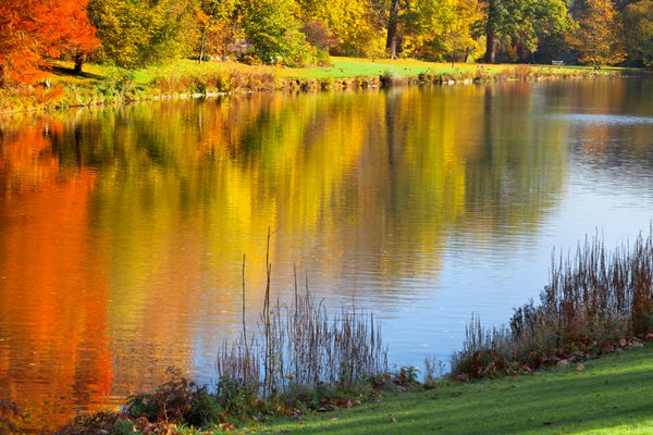 چشم انداز پاییزی پارک در پاییز رنگ های روشن پاییز در پارک کنار دریاچه
