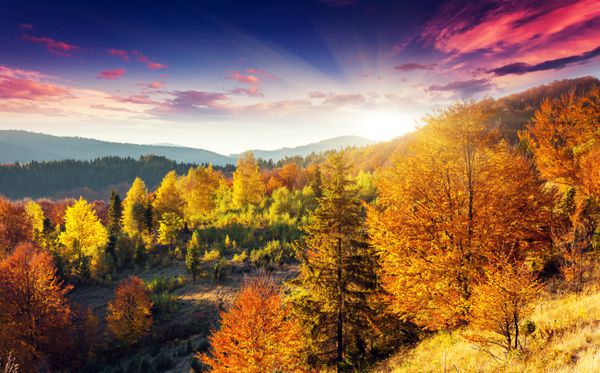 منظره کوهستانی با شکوه صبحگاهی با جنگل های رنگارنگ آسمان ابری دراماتیک کارپات اوکراین اروپا دنیای زیبایی