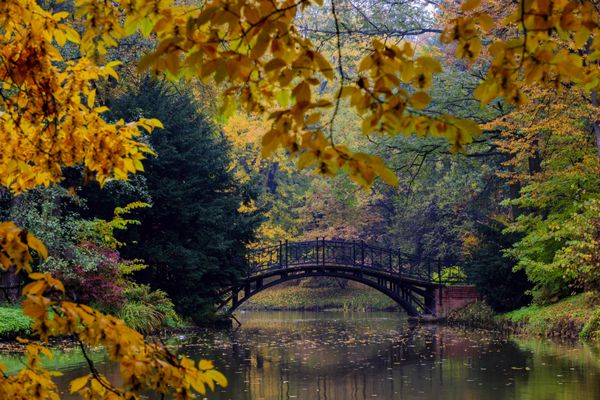 پاییز - پل قدیمی در پارک مه آلود پاییز