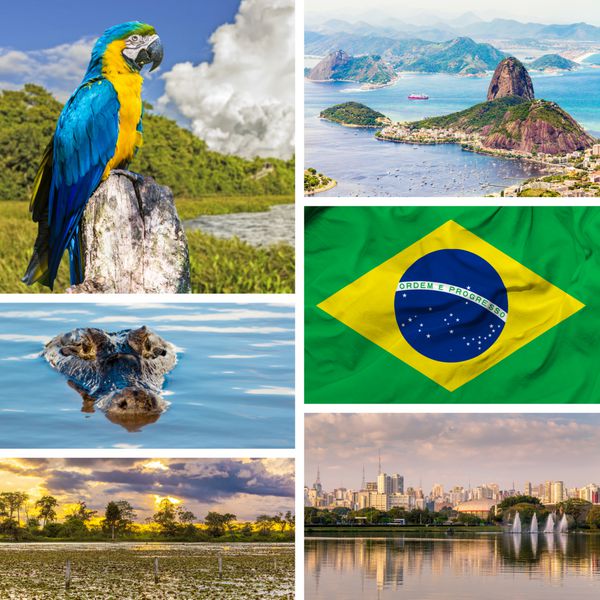 مجموعه ای با چند تصویر از برزیل آمریکای جنوبی