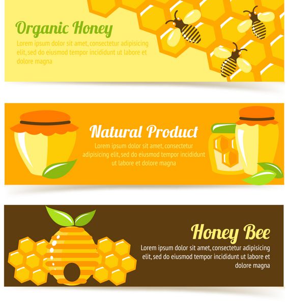 بنرهای محصولات غذایی طبیعی ارگانیک زنبور عسل با وکتور عناصر لانه زنبوری و گلدان