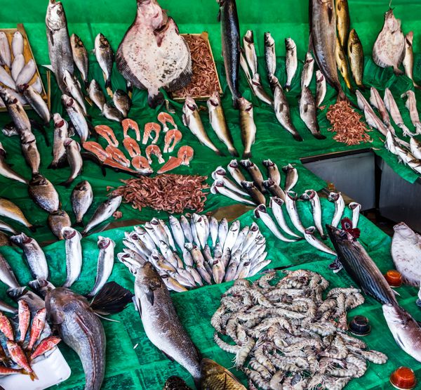 غذاهای دریایی ماهی در بازار استانبول ترکیه