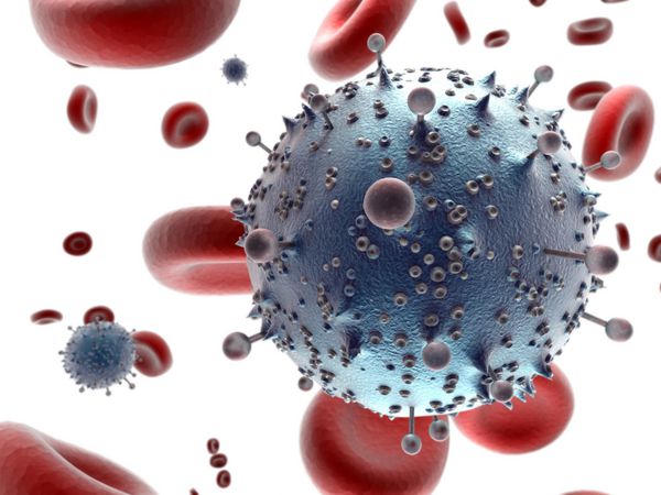 سلول های HIV در جریان خون