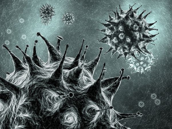 ویروس ها تصویر سه بعدی دقیق