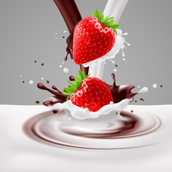 توت فرنگی های اشتها آور که در مخلوط شیر و شکلات می ریزند