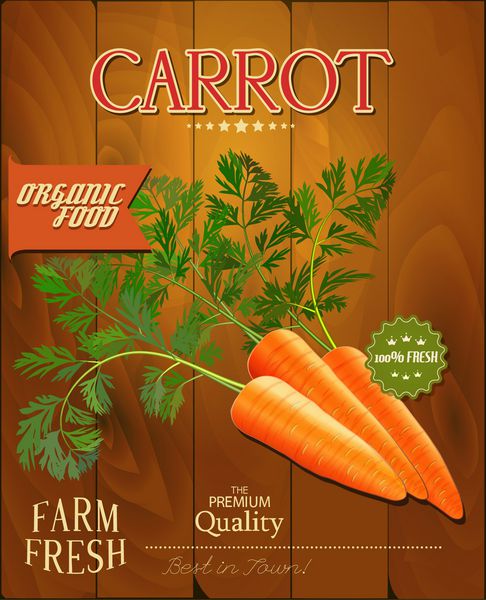 طراحی پوستر هویج تازه مزرعه به سبک قدیمی وکتور