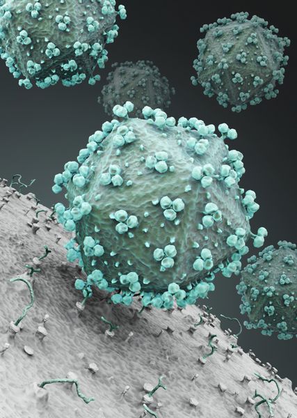 ویروس HIV به سلول حمله می کند رندر سه بعدی