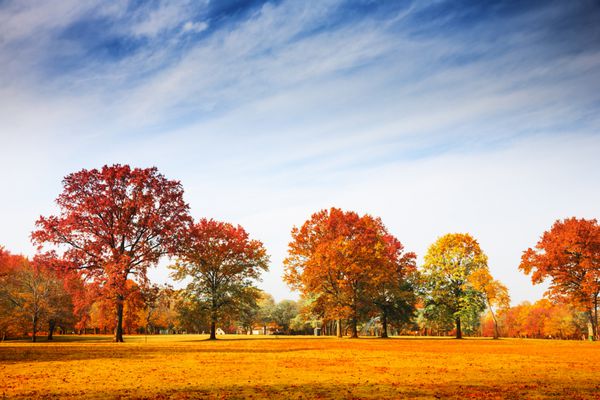 درختان رنگارنگ پاییز چشم انداز فصل پاییز
