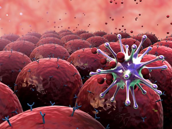 میدان سلولی میدان سلولی با گیرنده سیستم ایمنی انسان به ویروس حمله می کند