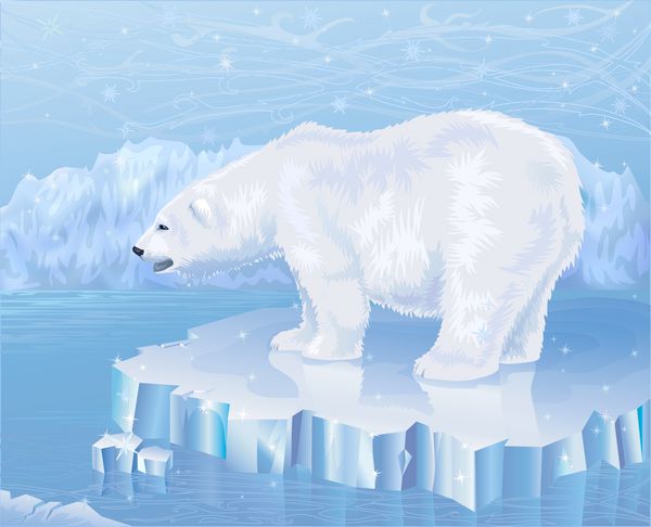 خرس قطبی روی یک شناور یخ ایستاده است
