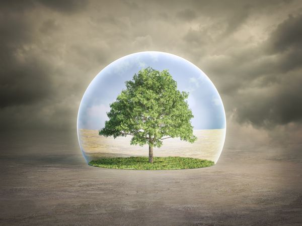 مفهوم حفاظت از محیط زیست - درخت در یک حباب