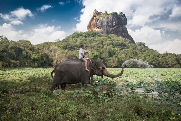 مرد و کودک سوار بر پشت فیل با صخره Sigiriya به عنوان پس زمینه