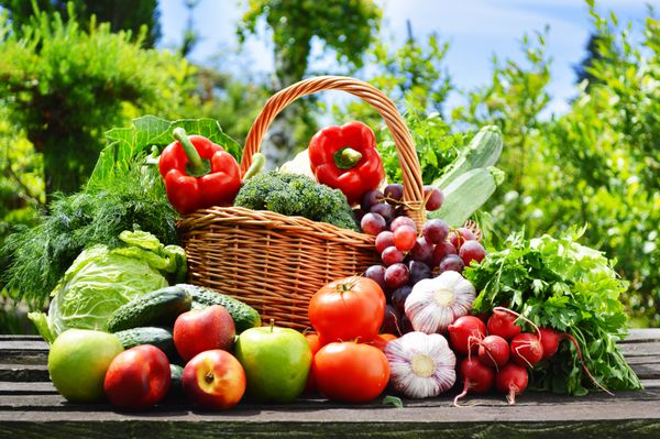 سبزیجات ارگانیک تازه در سبد حصیری در باغ