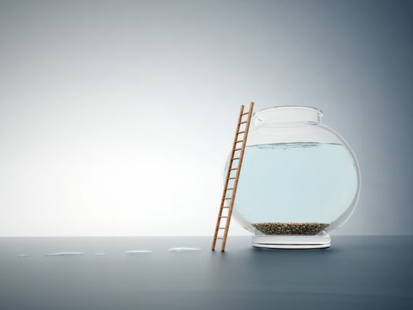 کاسه ماهی خالی با نردبان - تصویر مفهومی استقلال و آزادی