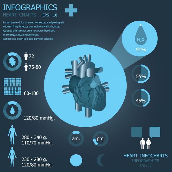 نمودارهای اطلاعات قلب