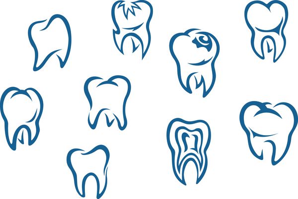 مجموعه دندان های انسان جدا شده در زمینه سفید برای پس زمینه پزشکی دندان نسخه Jpeg نیز در گالری موجود است