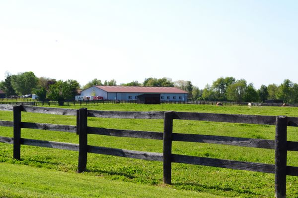 مزرعه اسب کنتاکی
