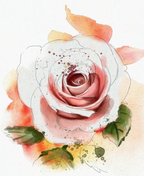 گل رز نقاشی با آبرنگ
