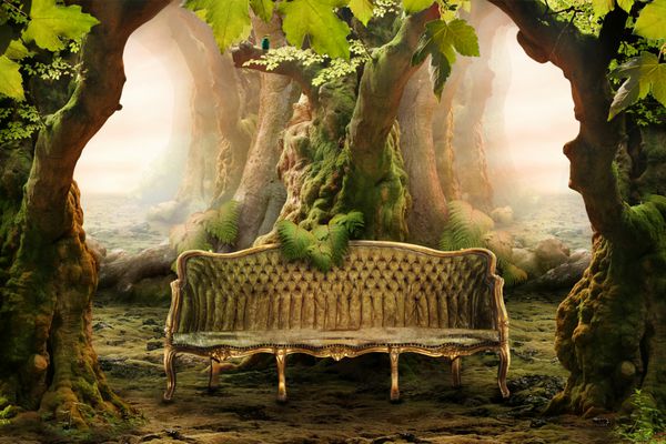 صندلی عاشقانه در یک جنگل عمیق