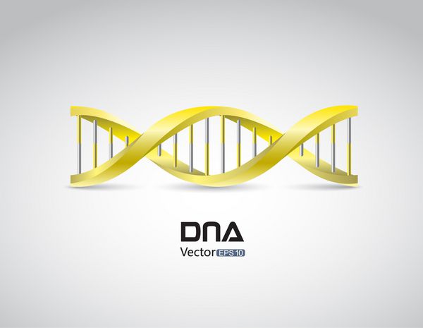 نماد DNA