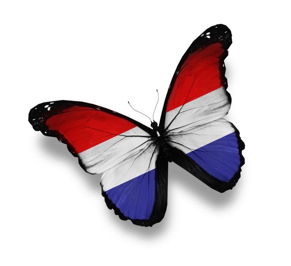پروانه پرچم هلند جدا شده روی سفید