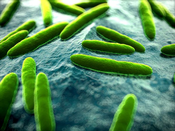 تصویر سه بعدی علمی برخی از باکتری ها