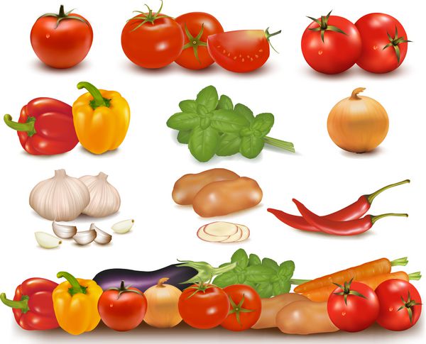 مجموعه رنگ سبزیجات و حاشیه سبزیجات
